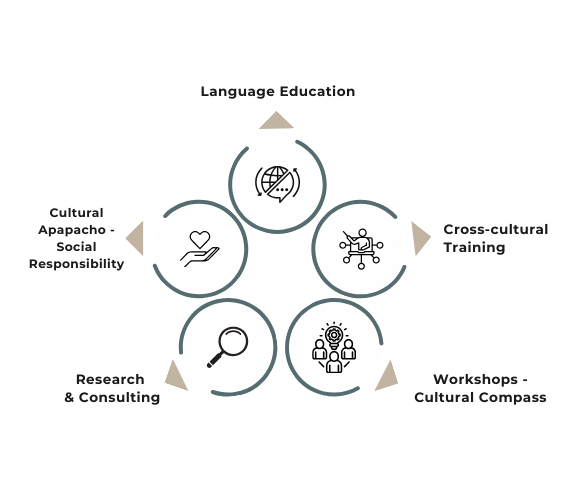 Our Services-Web